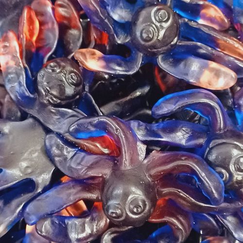 Octupus